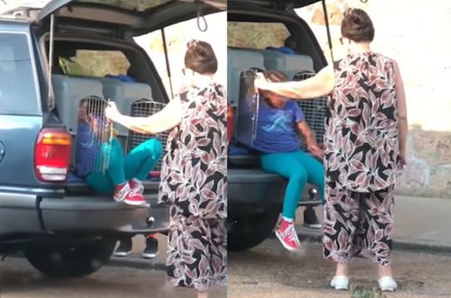 汽车后车厢能放多少斤 汽车后车厢能放多少斤