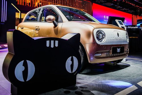 长沙买黑猫汽车首付多少 长沙买黑猫汽车首付多少