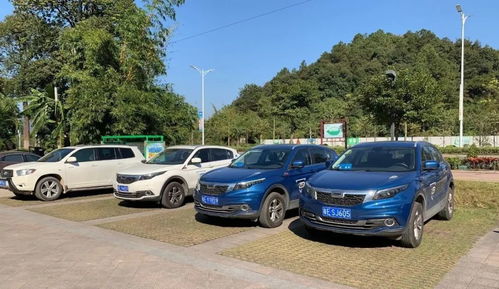 扫码汽车一天多少钱