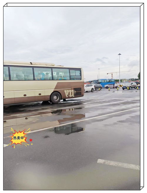 湖州绿色汽车班次多少