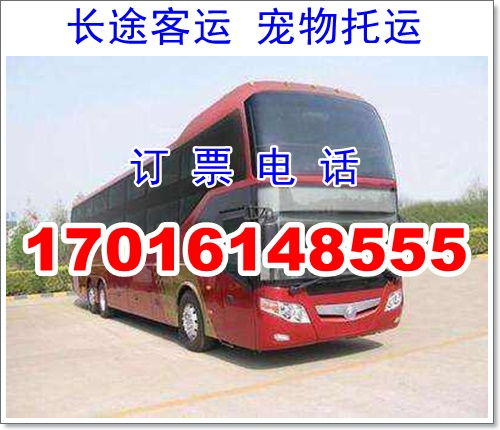 枣庄到菏泽汽车多少钱