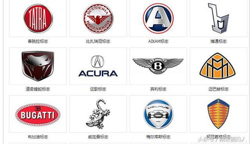 汽车有多少标志