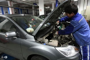 汽车养护一年多少钱