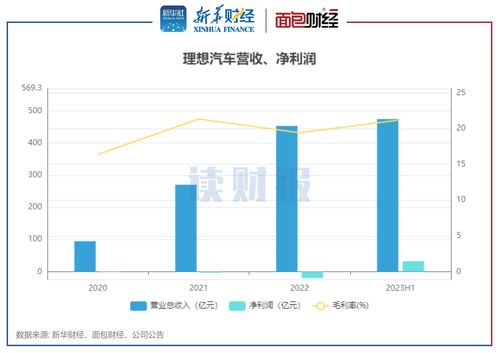 理想汽车 净利润多少