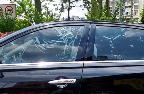 汽车遮阳膜多少钱