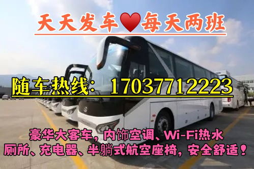 怎么检查汽车线路多少钱 怎么检查汽车线路多少钱