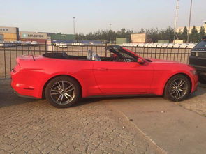 港口敞篷汽车报价多少