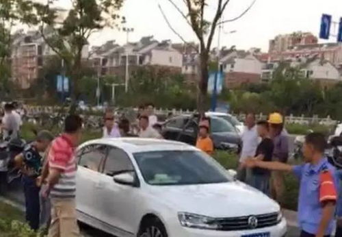 用水的汽车多少钱
