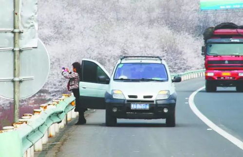 低速汽车有多少吨