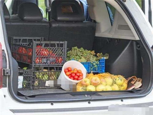 汽车可以拉多少蔬菜啊 汽车可以拉多少蔬菜啊