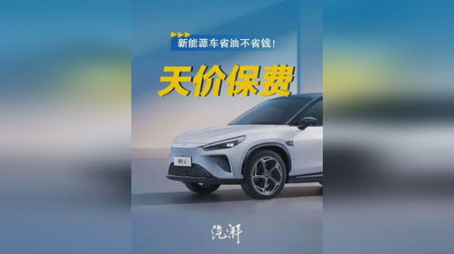 汽车一共有多少险