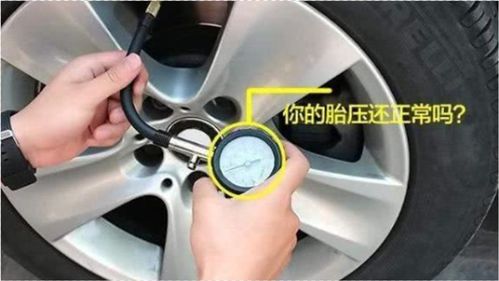 小汽车的胎压是多少