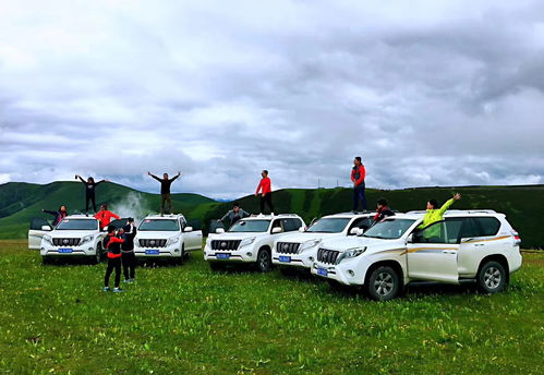 进口汽车租赁费用多少