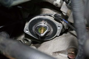 汽车装冷却液装多少