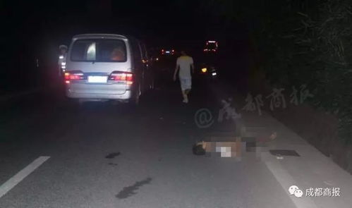 汽车撞了人担多少责任