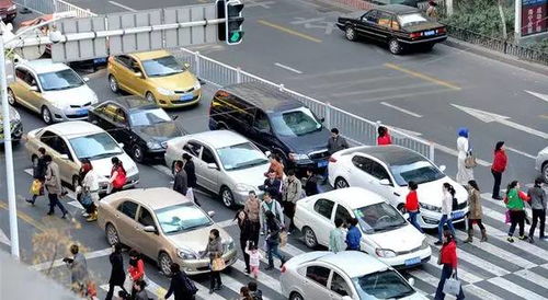 汽车撞了人担多少责任