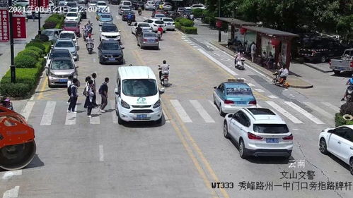 汽车撞了人担多少责任