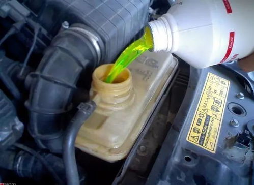 汽车防冻液有多少种颜色