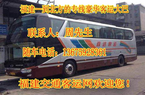 聊城到商丘汽车多少时间