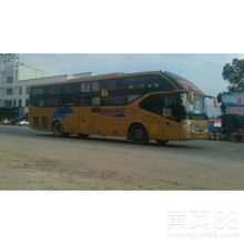 聊城到商丘汽车多少时间