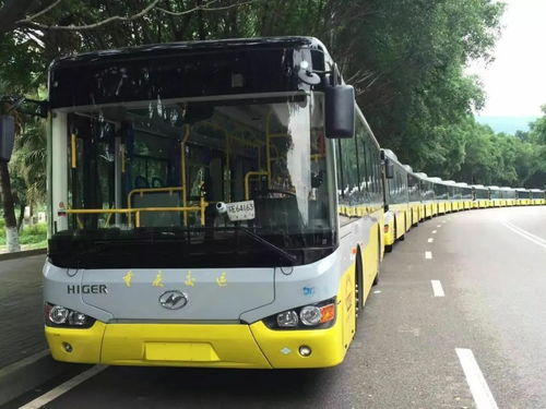 山东到万州汽车多少天