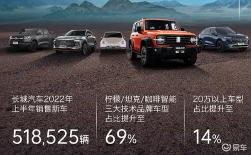 长城汽车股份收入多少