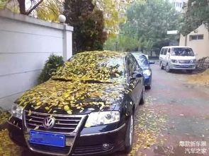 桂东汽车报废补贴多少