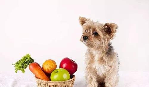 5公斤蒸汽车压力多少