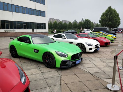 秦皇岛汽车落户多少钱