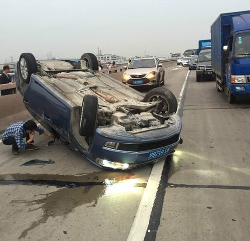 汽车撞到猪头赔多少