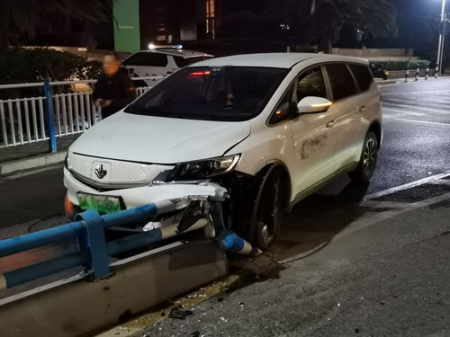 汽车撞到猪头赔多少