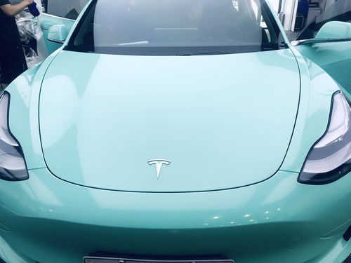 汽车贴全车膜费用多少