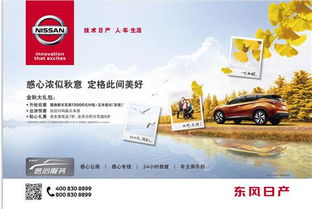 五一后汽车消费多少积分