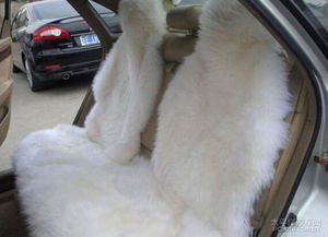 青岛汽车按摩坐垫多少钱