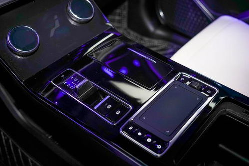 星途汽车多少期免息