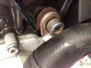 汽车换启动机多少钱