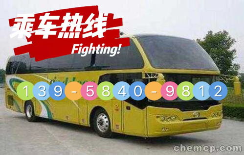 大方到安顺汽车价格多少