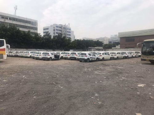 白云区有多少共享汽车