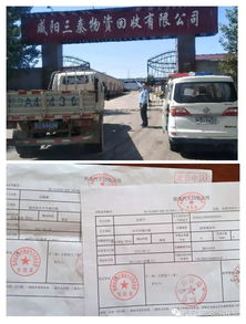 渭南到兴平汽车多少钱