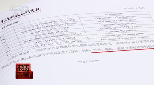 花239万自体丰胸检出黄牛驼鹿DNA 花239万自体丰胸检出黄牛驼鹿DNA
