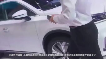 汽车换个塑料多少钱啊