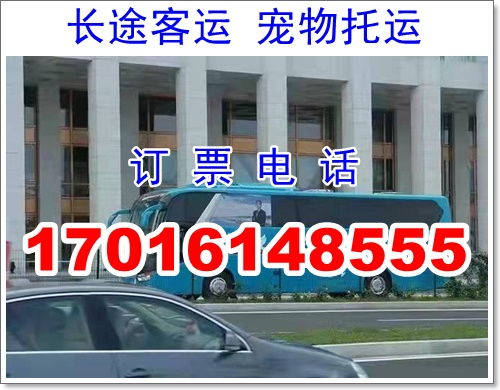 汉中到神木汽车多少钱 汉中到神木汽车多少钱