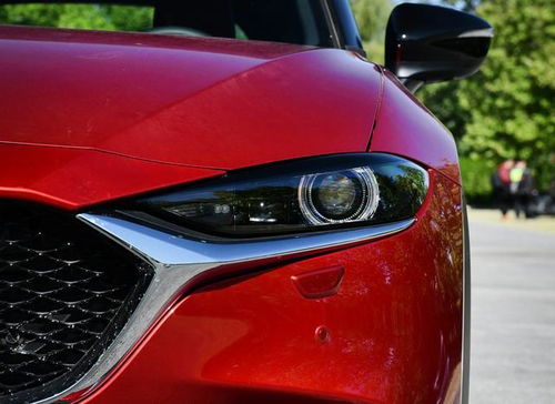 放恐龙汽车园36=多少