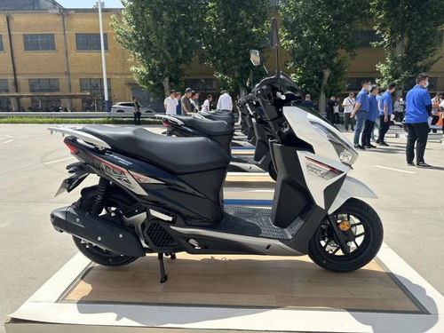 风情汽车踏板多少钱