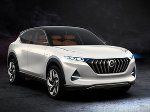 正道汽车多少钱