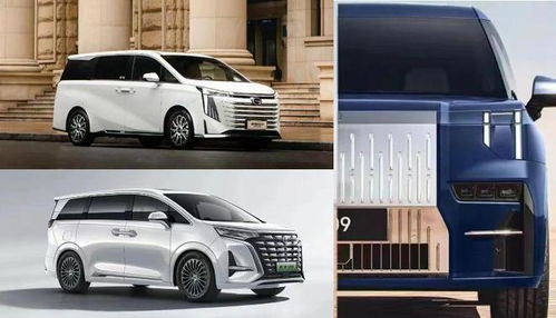 极氪汽车009多少钱