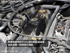 测量汽车水箱温度多少 测量汽车水箱温度多少