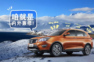 中国有多少家庭有汽车