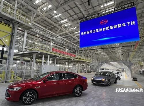 2022合肥有多少汽车