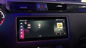 汽车身高多少可以开 汽车身高多少可以开